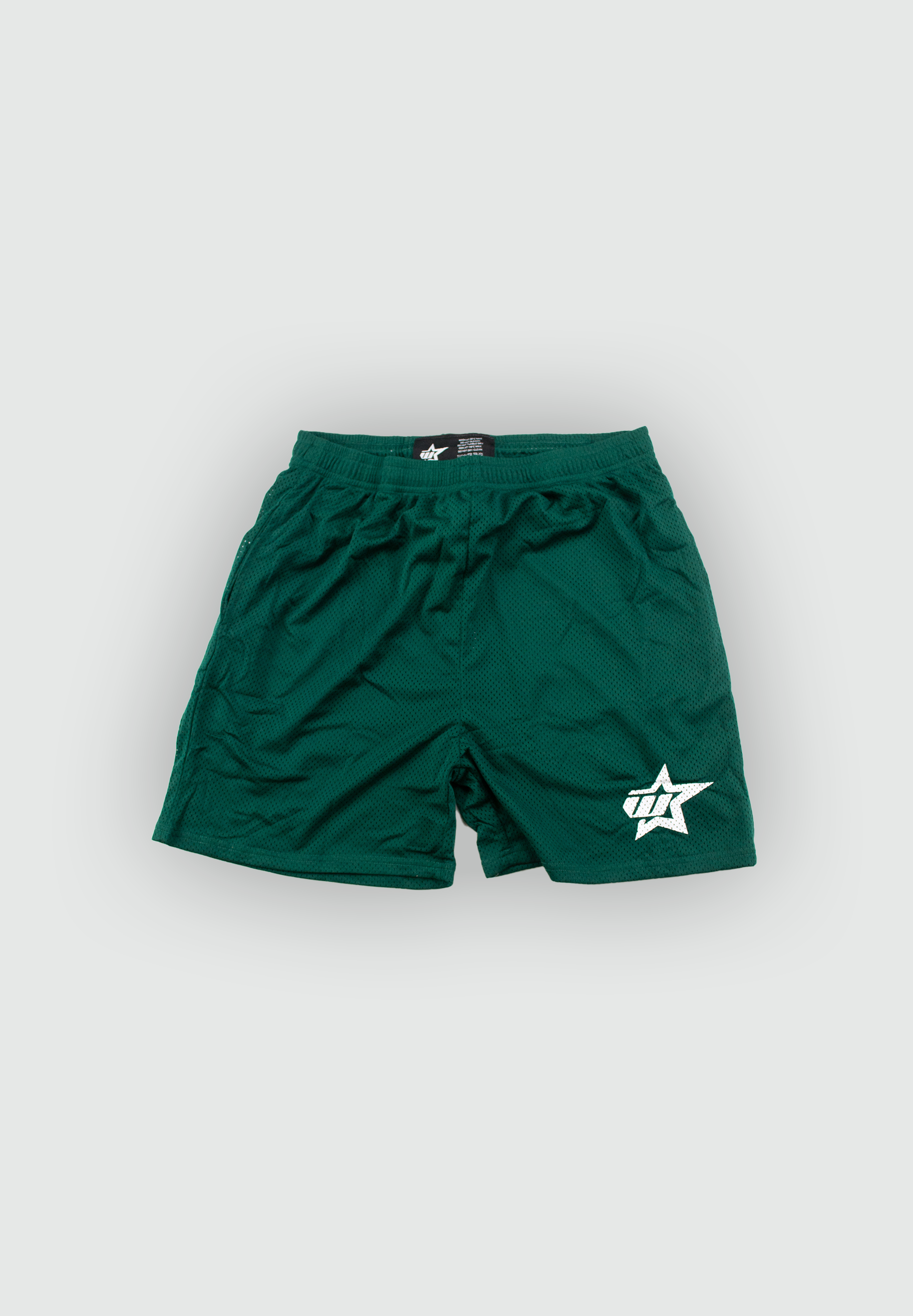 Mesh Shorts Green