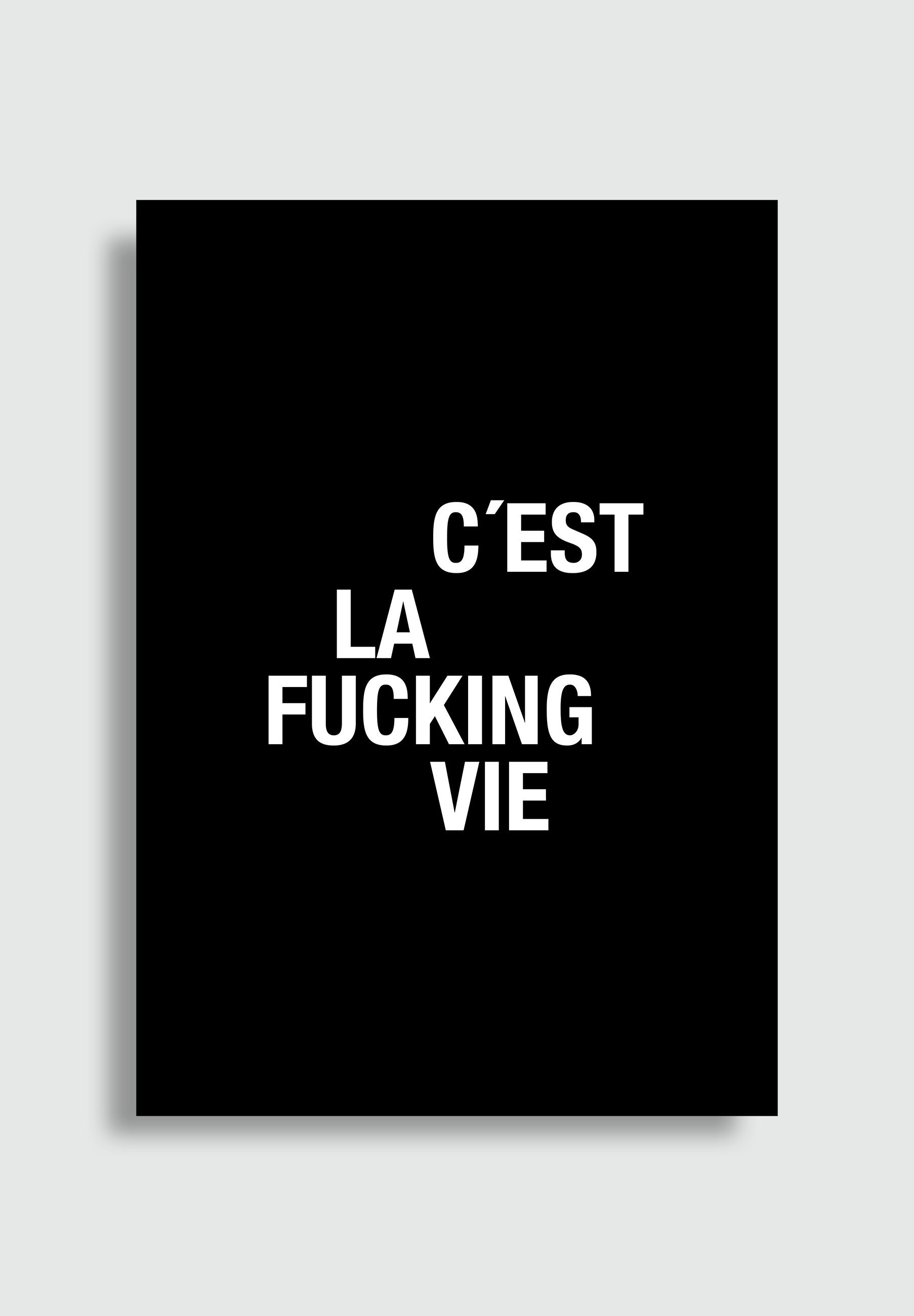 F*cking Vie Poster