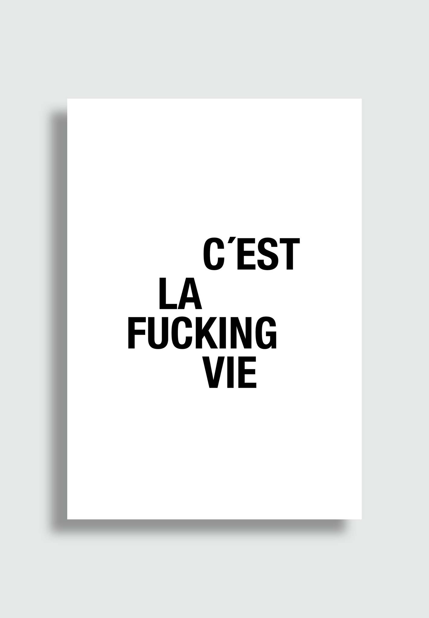 F*cking Vie Poster